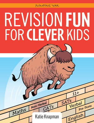 REVISION FUN FOR CLEVER KIDS